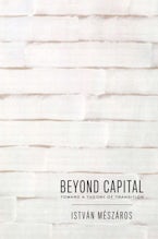 Beyond Capital