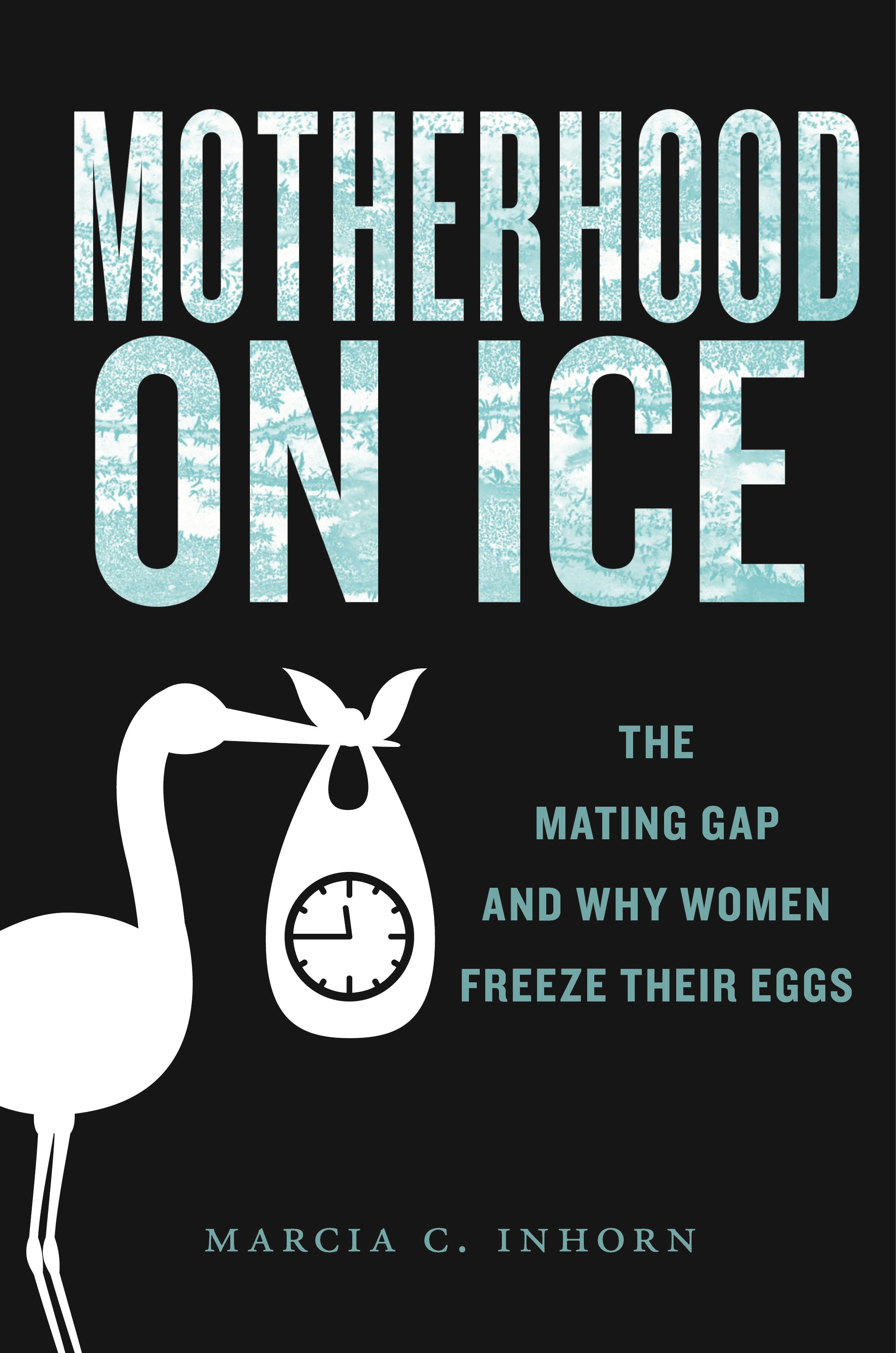 Motherhood on Ice by Marcia C. Inhorn — book cover