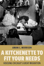 Cover of 'A Kitchenette to Fit Your Needs' by Amani C. Morrison 