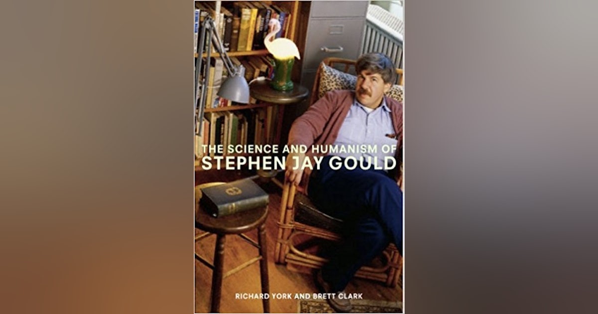 Can You Get Cancer From Vaping can-you-get-cancer-from-vaping