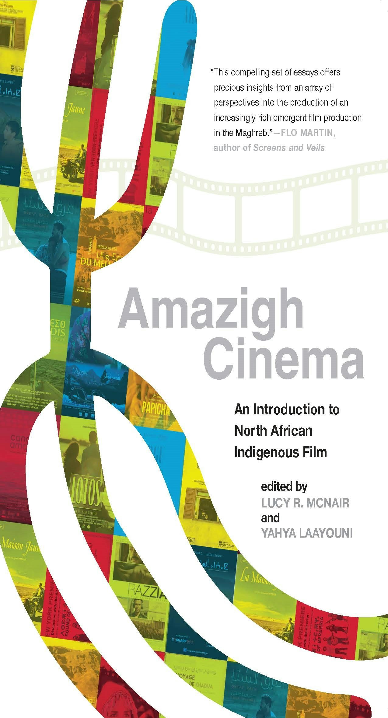 Image for Amazigh Cinema : An Introduction to North African Indigenous Film : 1